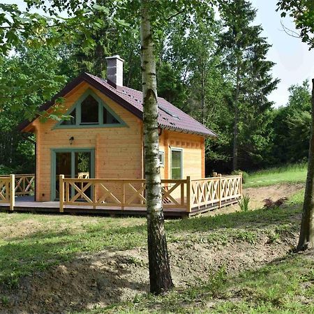 Villa Ogród Shinrin Yoku  Srokowo Exterior foto